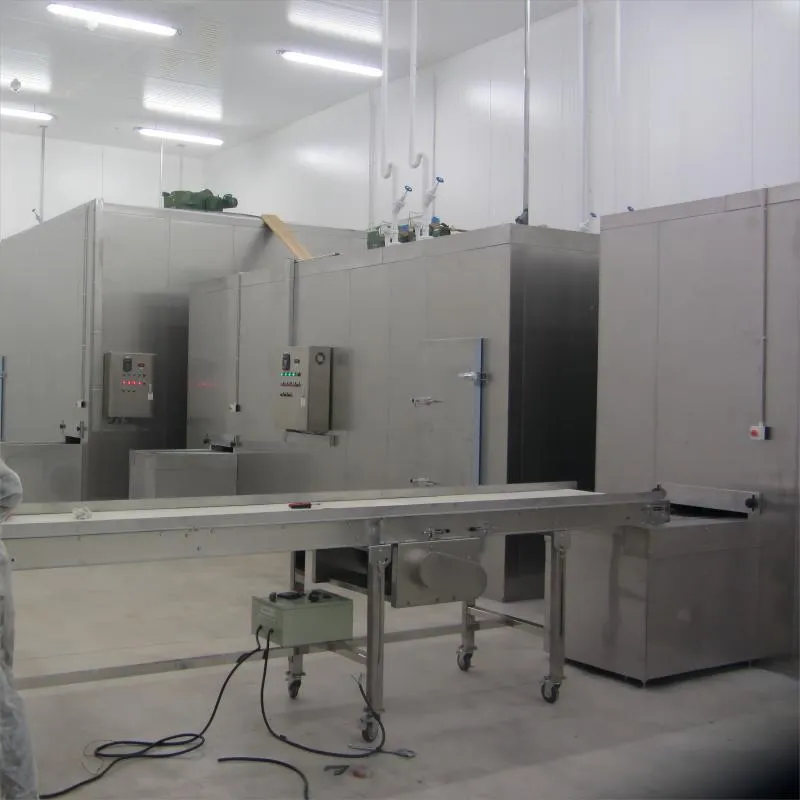 Customized Spiral Freezer